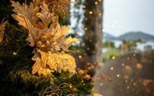 Presentes de Final de Ano: Celebre o Natal e o Ano Novo com Carinho