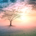 Chico Xavier e suas experiências no Santa Esmeralda em livro psicografado