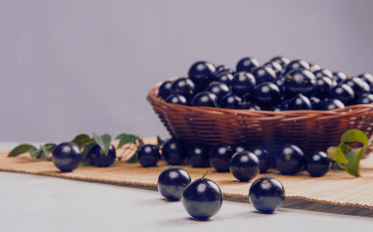 Como Fazer Licor de Jabuticaba: Receita Caseira e Benefícios da Fruta Brasileira